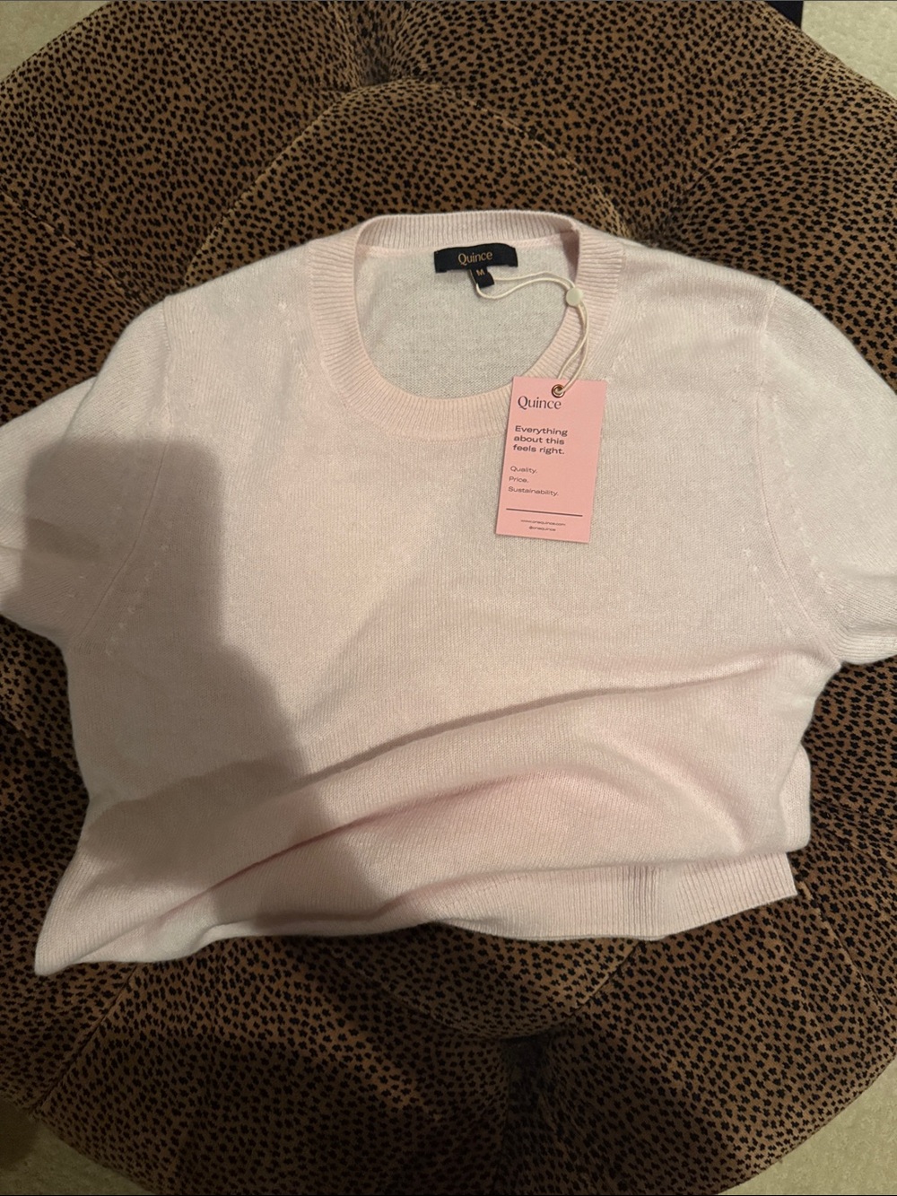 Quince Cashmere Tee